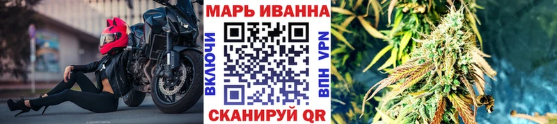 Каннабис OG Kush  Салаир 